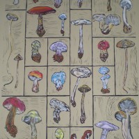 beachler_mushroom